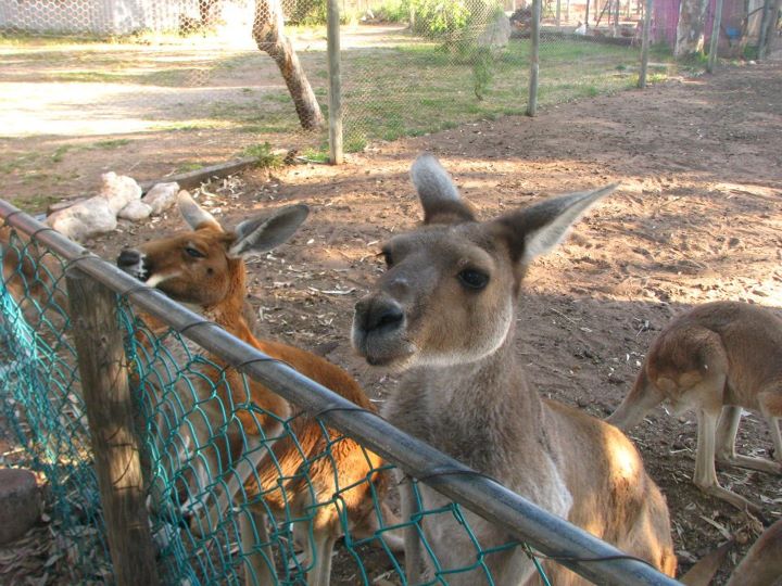 9 day trip Perth - Broome 013