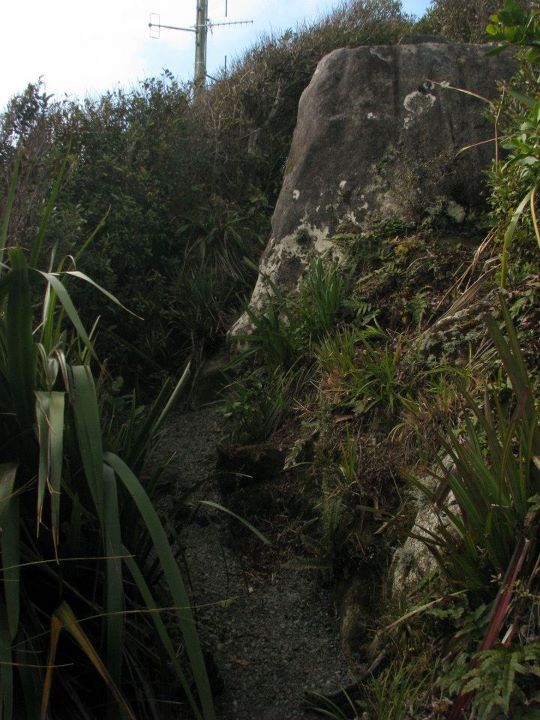 Mt. Karioi - Sleeping Lady 016