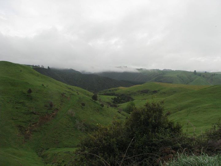 Hot springs, Napier 001