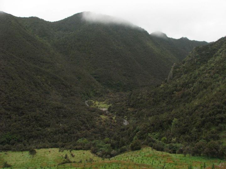 Hot springs, Napier 007