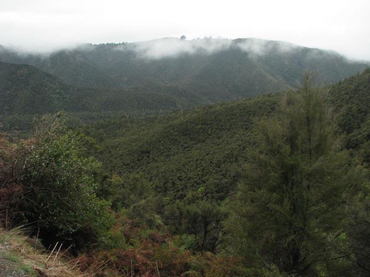 Hot springs, Napier 008