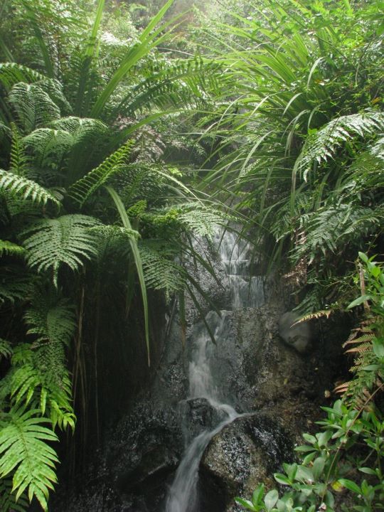 Hot springs, Napier 017