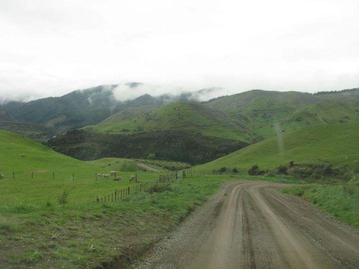 Hot springs, Napier 022