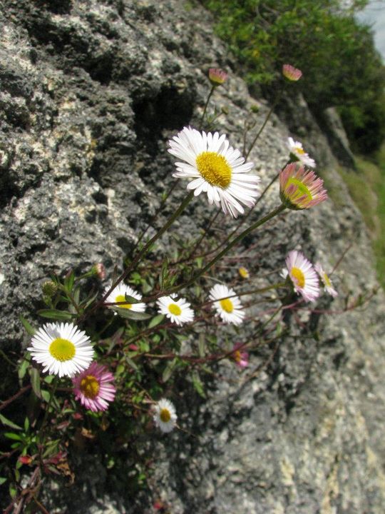 Te Mata Peak 002