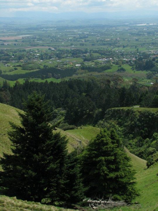 Te Mata Peak 005