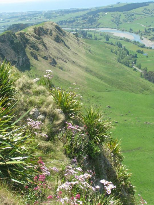 Te Mata Peak 008