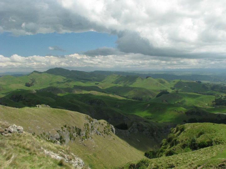 Te Mata Peak 015