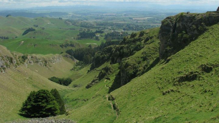 Te Mata Peak 016