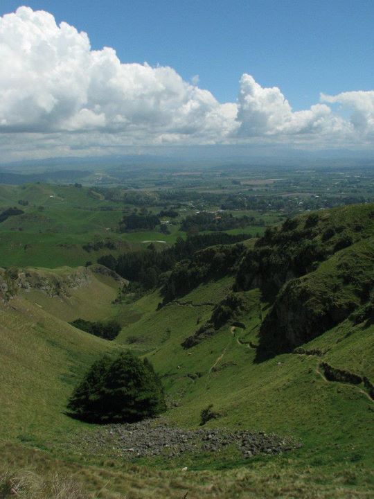 Te Mata Peak 017