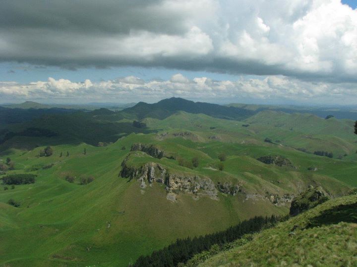 Te Mata Peak 018