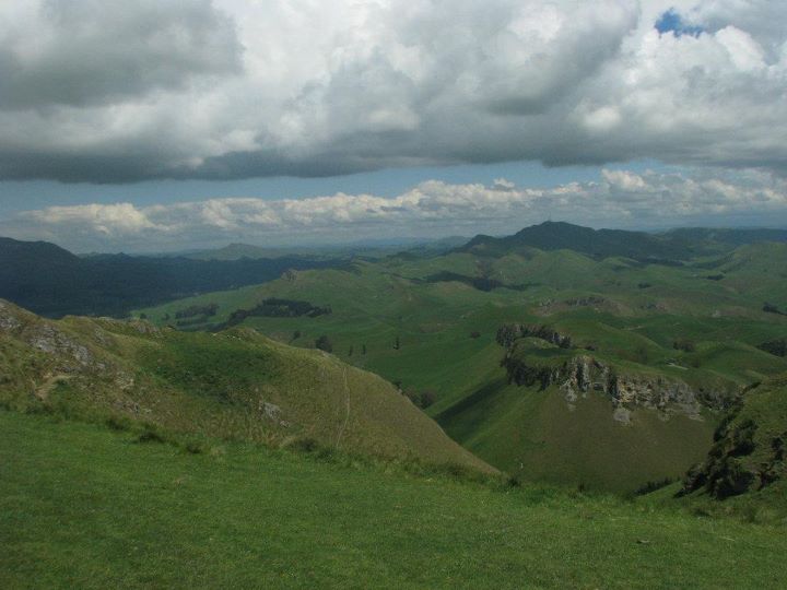 Te Mata Peak 021