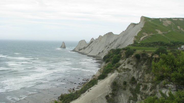 Cape Kidnappers - Gannet colony, Napier 021