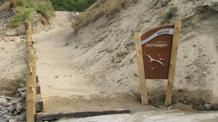 Cape Kidnappers - Gannet colony, Napier 025