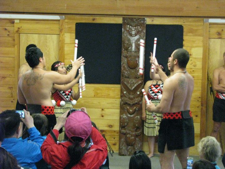 Whakarewarewa 010