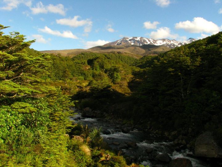 Mt. Ruapehu 049