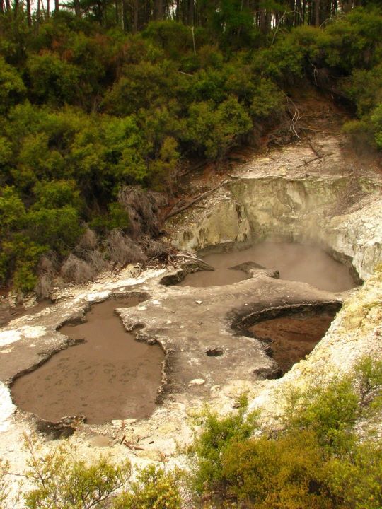 Wai-o-tapu 004