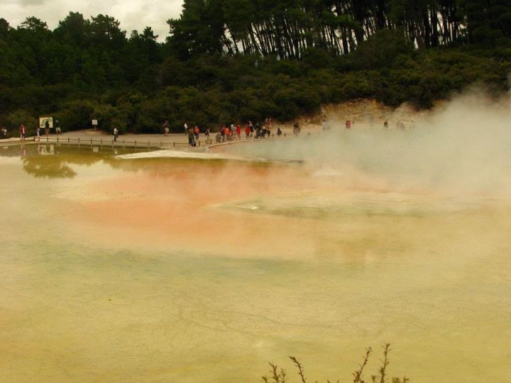 Wai-o-tapu 005