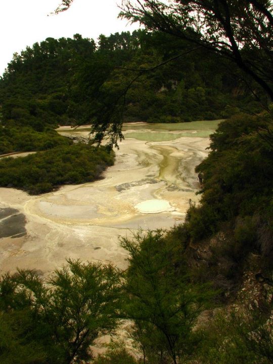 Wai-o-tapu 006