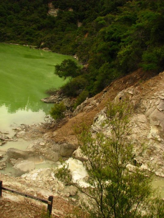 Wai-o-tapu 009