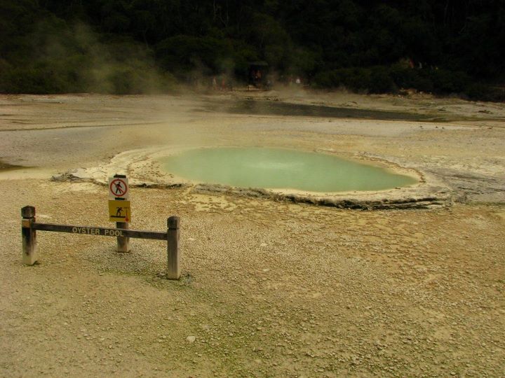 Wai-o-tapu 010