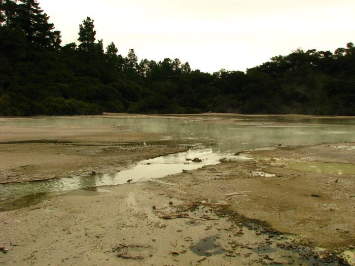 Wai-o-tapu 011