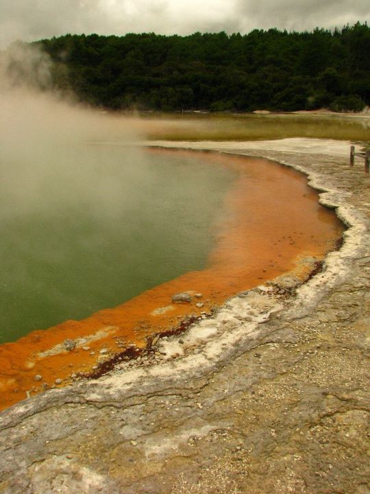 Wai-o-tapu 015