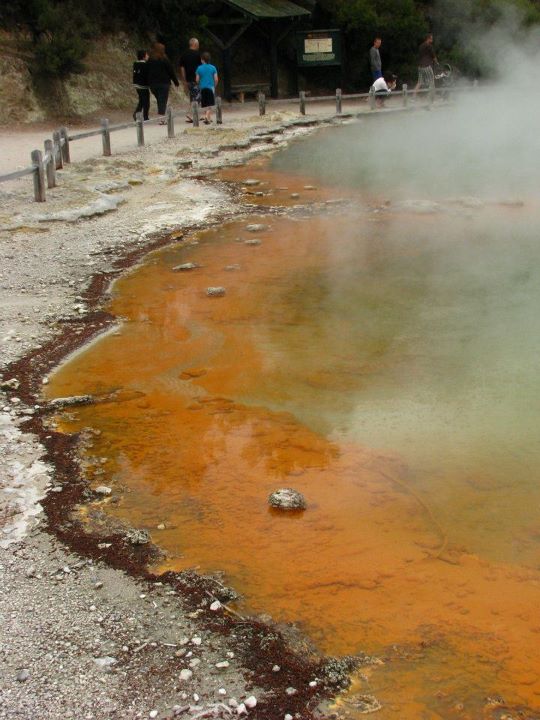 Wai-o-tapu 016