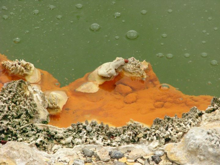 Wai-o-tapu 017