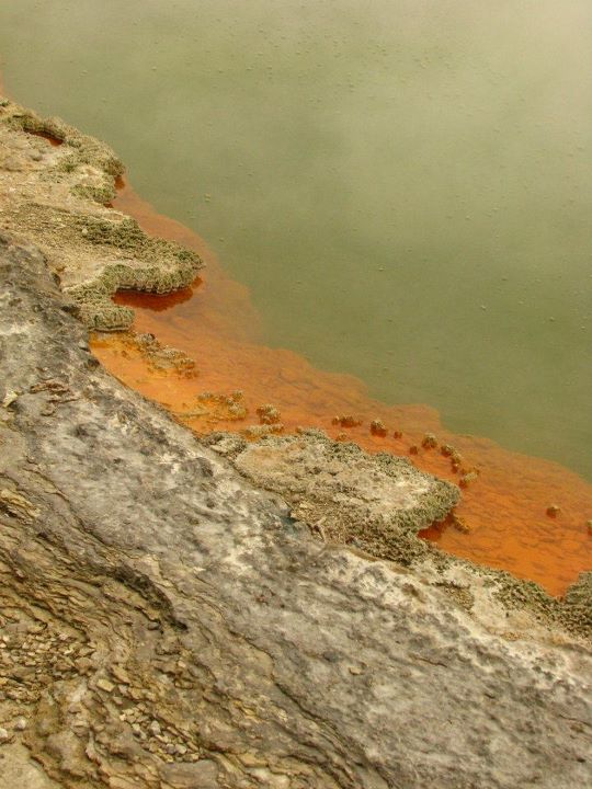 Wai-o-tapu 018