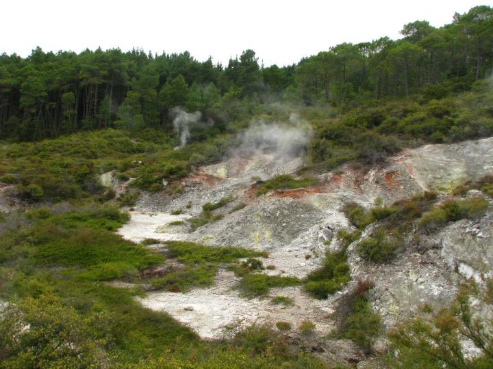 Wai-o-tapu 026