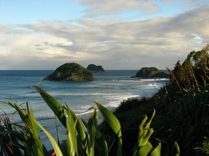 New Plymouth, NZ 007