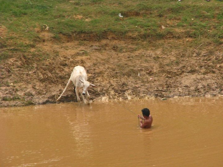 Cambodia 019