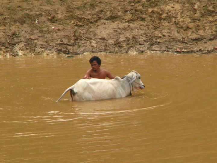 Cambodia 021