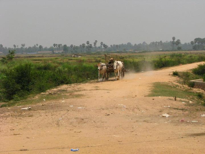 Cambodia 023