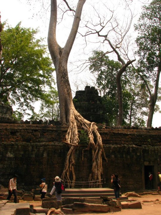 Cambodia 035