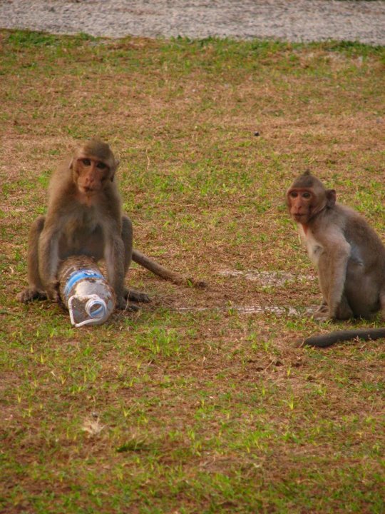 Cambodia 050