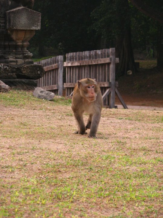 Cambodia 053