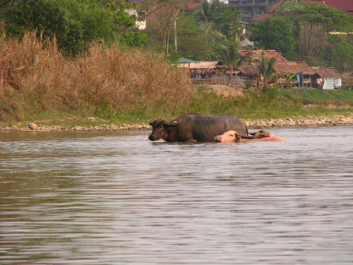 Laos 009